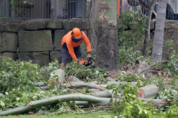  Westbrook, ME Tree Services Pros